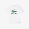 Camiseta de algodón con estampado exclusivo para hombre