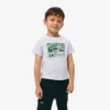 Camiseta de algodón con estampado gráfico