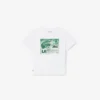 Camiseta de algodón con estampado gráfico