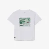 Camiseta de algodón con estampado gráfico