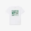 Camiseta de algodón con estampado gráfico