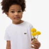Camiseta de algodón para niños