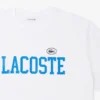 Camiseta de jersey de algodón – Tallas grandes – Grande