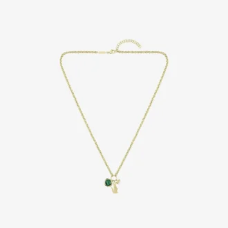 Collar de árbitro