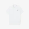 Polo Lacoste Tennis X Novak Djokovic on Court