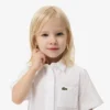 Vestido camisero con falda plisada de popelín